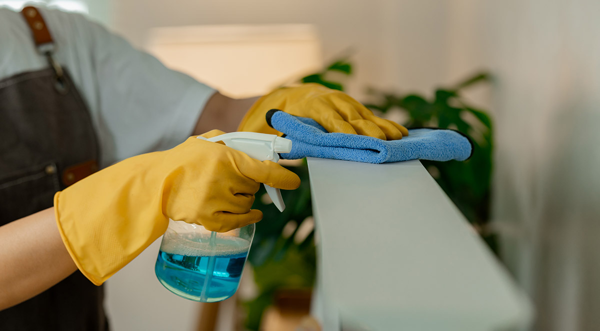 Maid Service Hendersonville, NC