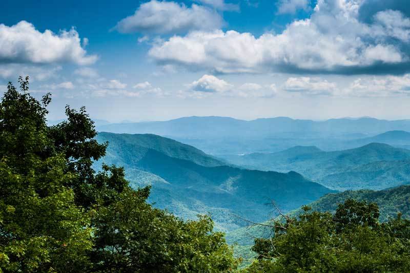 professional cleaning asheville nc