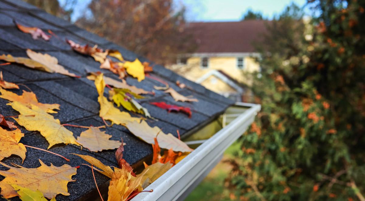 Fall Cleaning in Asheville, NC